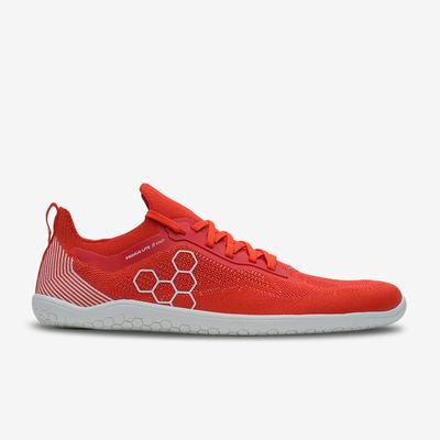 Sapatilhas Treino Vivobarefoot Primus Lite Knit Masculino Vermelhas | Portugal-23549